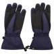 Pánské lyžařské rukavice Worthy Glove DMG326